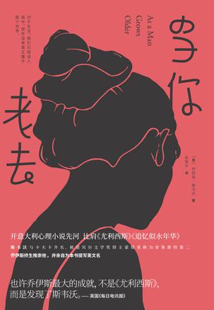 《当你老去》伊塔洛・斯韦沃 电子书下载epub,mobi,azw3,pdf,txt- Ebook电子书网-Ebook电子书网