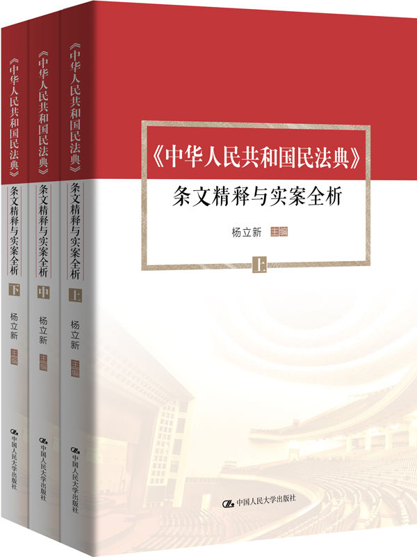 《中华人民共和国民法典》条文精释与实案全析