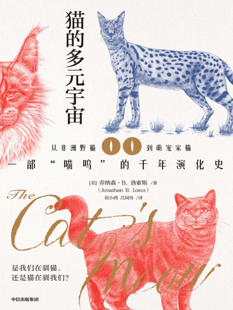 猫的多元宇宙