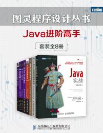 图灵程序设计丛书：Java进阶高手（套装共8册）pdf,epub,mobi,azw3,txt