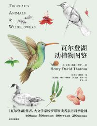 瓦尔登湖动植物图鉴（共2册）pdf,epub,mobi,azw3,txt