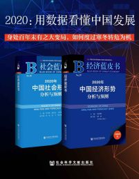 2020：用数据看懂中国发展（经济蓝皮书+社会蓝皮书）pdf,epub,mobi,azw3,txt