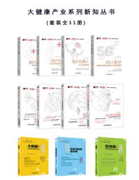 大健康产业系列新知丛书（套装全11册）pdf,epub,mobi,azw3,txt