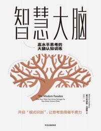 智慧大脑：高水平思考的大脑认知训练pdf,epub,mobi,azw3,txt