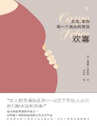 欢喜：女性、革命和一个逝去的男孩pdf,epub,mobi,azw3,txt