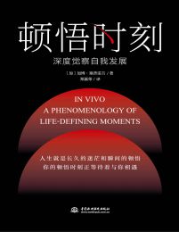 顿悟时刻：深度察觉自我发展pdf,epub,mobi,azw3,txt