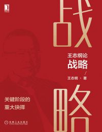 王志纲论战略：关键阶段的重大抉择pdf,epub,mobi,azw3,txt