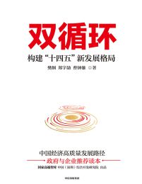 双循环：构建“十四五”新发展格局pdf,epub,mobi,azw3,txt