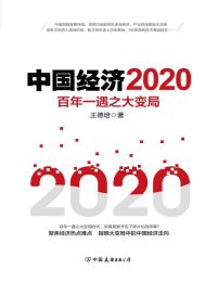 中国经济2020：百年一遇之大变局pdf,epub,mobi,azw3,txt