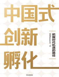 中国式创新孵化：把握时代机遇的路径pdf,epub,mobi,azw3,txt