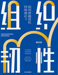 组织韧性：如何穿越危机持续增长pdf,epub,mobi,azw3,txt