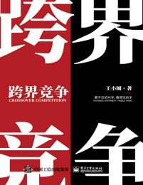 跨界竞争：看不见的对手，看得见的手pdf,epub,mobi,azw3,txt